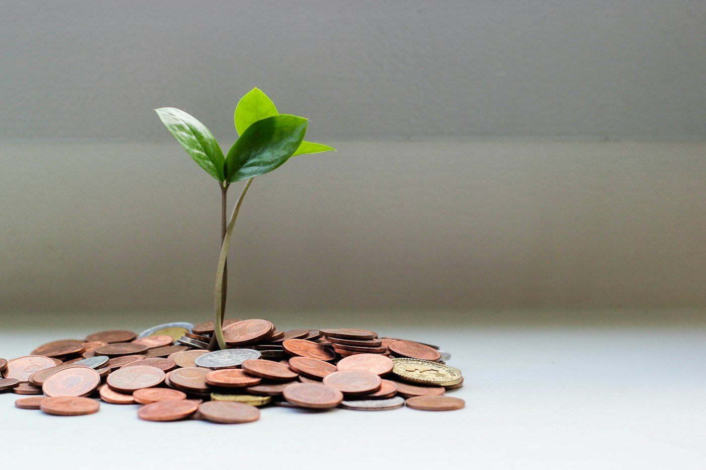 Coins and savings jar for kids